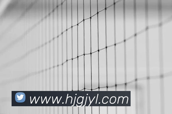 皇家赌场hjdc品牌故事